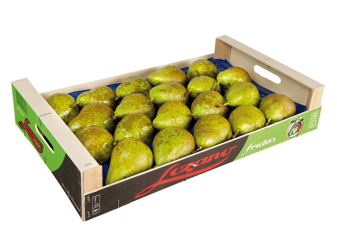Gran distribuidor de pera